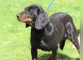 LENA sucht ihre Familie