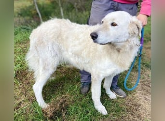 ZUZA  ist traurig, wer tröstet sie?