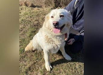 LUCY freut sich über jede Zuwendung