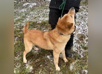 AKIM wartet auf Dich