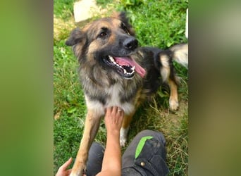BABORKA hätte so gerne eine eigene Familie BABORKA hätte so gerne eine eigene Familie