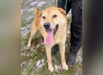 AKIM wartet auf Dich AKIM wartet auf Dich