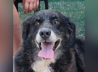 SCARLET sehnt sich so nach Liebe