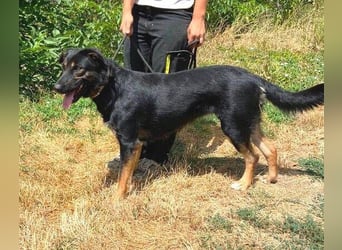 LUNA 2 wäre so gerne Familienmitglied