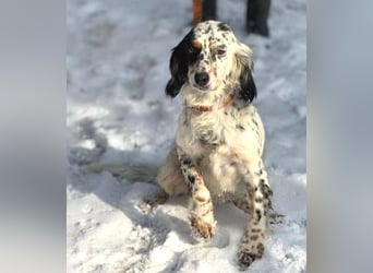 ZEYNA bildschön und sehr lieb