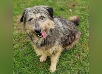 MAYA ist einfach zauberhaft