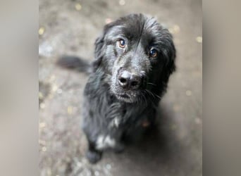 FABIO wäre gerne dein Freund