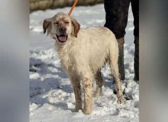 MARK  bildschön, und zu allen sehr lieb