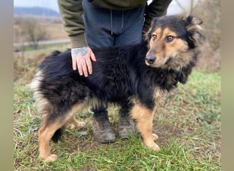 ELZA sucht ihre Familie