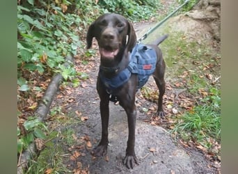 OTTO ist ein Schatz