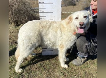 LUCY freut sich über jede Zuwendung
