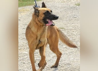 IKE ist ein unkomplizierter Strahlemann