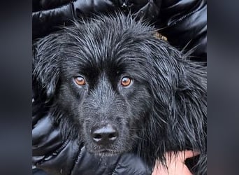 FABIO wäre gerne dein Freund