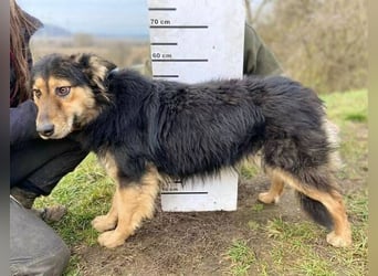 ELZA sucht ihre Familie