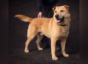 AKIM wartet auf Dich