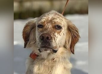 MARK  bildschön, und zu allen sehr lieb