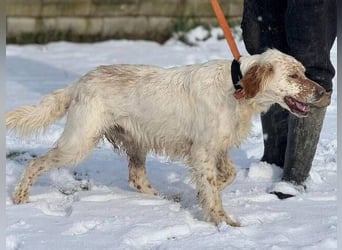 MARK  bildschön, und zu allen sehr lieb