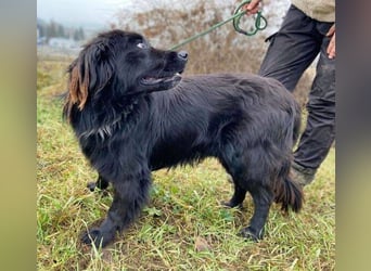 FABIO wäre gerne dein Freund