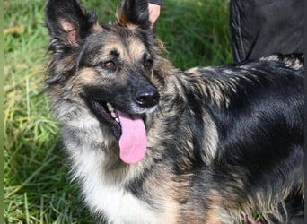 BABORKA hätte so gerne eine eigene Familie