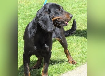 LENA sucht ihre Familie