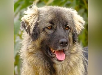 EMMA ist wunderschön