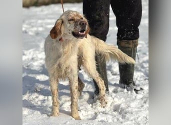 MARK  bildschön, und zu allen sehr lieb