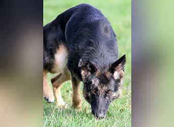 Donna, schön und sehr lieb