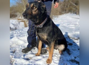 LUNA 2 wäre so gerne Familienmitglied