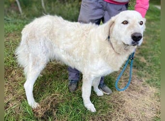 ZUZA  ist traurig, wer tröstet sie?