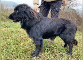 FABIO wäre gerne dein Freund