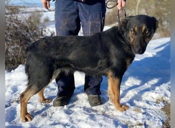 LUNA 2 wäre so gerne Familienmitglied