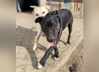 SUNNY sucht seine Menschen