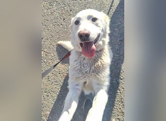 LUCY freut sich über jede Zuwendung