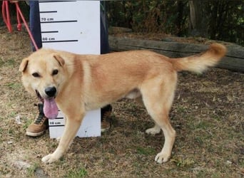 AKIM wartet auf Dich