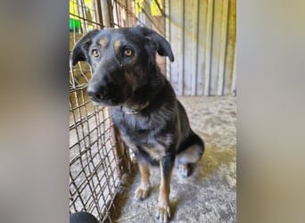 LUNA 2 wäre so gerne Familienmitglied