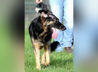 Donna, schön und sehr lieb