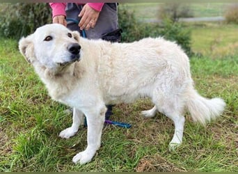 ZUZA  ist traurig, wer tröstet sie?