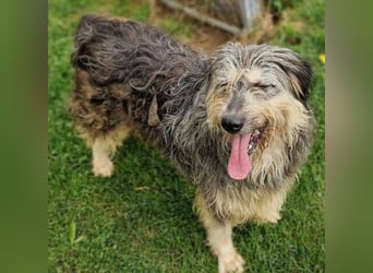 MAYA ist einfach zauberhaft