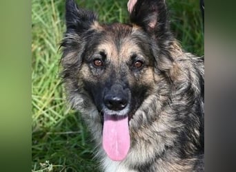 BABORKA hätte so gerne eine eigene Familie