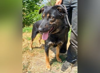 LUNA 2 wäre so gerne Familienmitglied