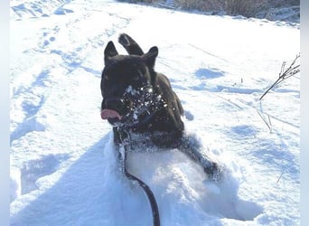 DANTE liebt Menschen