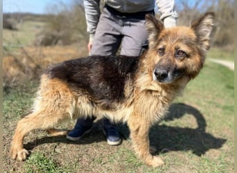 SHIRA hat endlich Liebe verdient