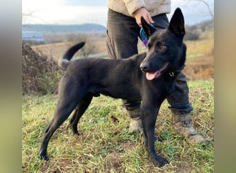 DANTE liebt Menschen