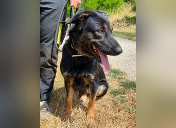 LUNA 2 wäre so gerne Familienmitglied