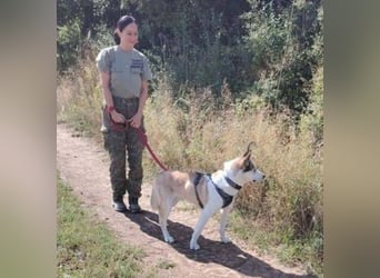 SHADOW ist wunderschön