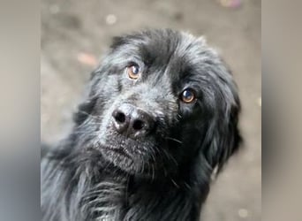 FABIO wäre gerne dein Freund