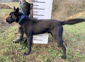 DANTE liebt Menschen