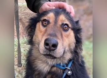 ELZA sucht ihre Familie