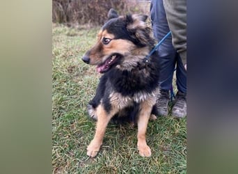 ELZA sucht ihre Familie