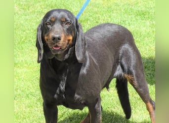 LENA sucht ihre Familie